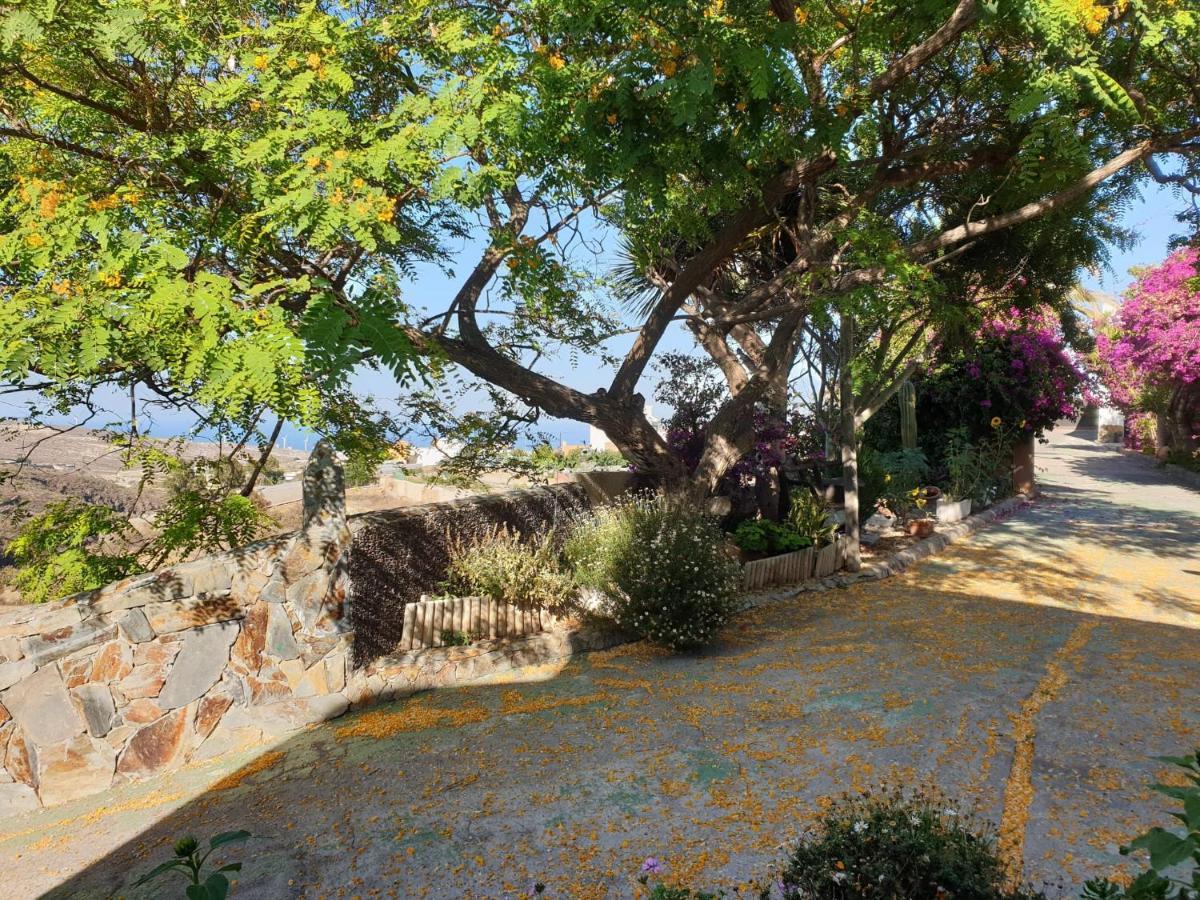 Finca Tropical Arico Viejo Екстер'єр фото
