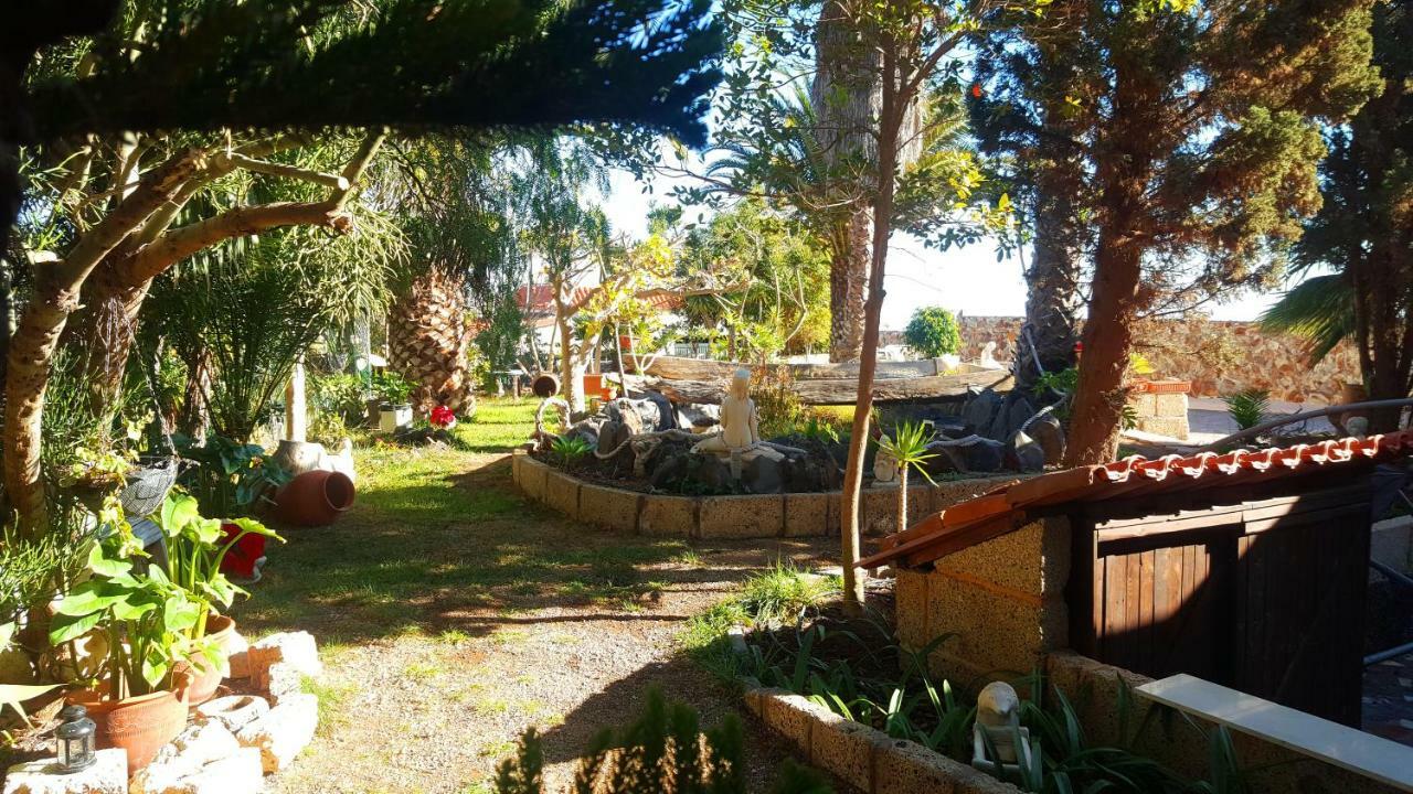 Finca Tropical Arico Viejo Екстер'єр фото