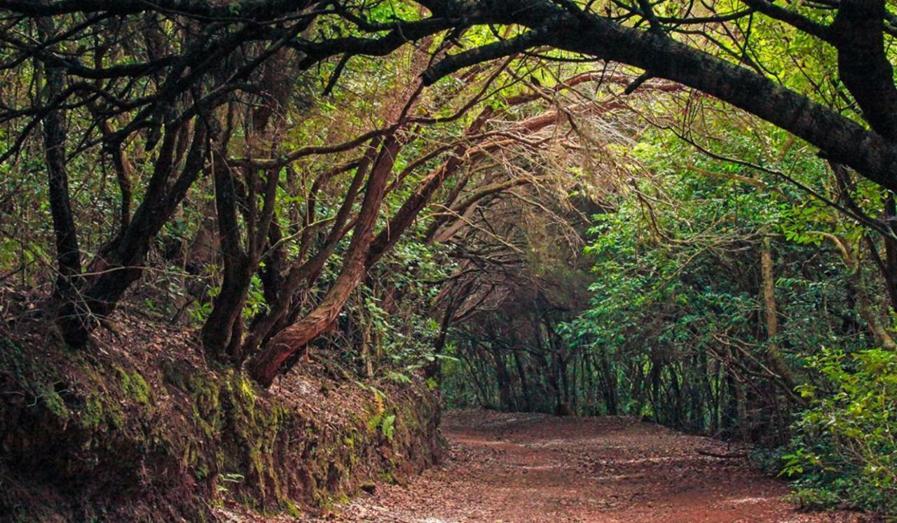 Finca Tropical Arico Viejo Екстер'єр фото